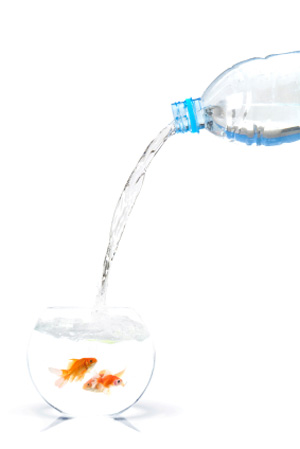 Frischwasser und Wasserwechsel im Aquarium